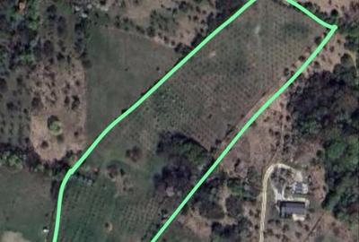 Spațiu comercial, în Central