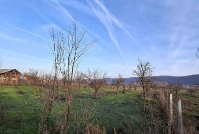 Casă cu 5 camere cu Teren 4443 Mp în Nicolae Bălcescu - 10