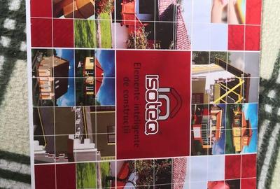 Casă cu 4 camere cu Teren 2700 Mp în Peciu Nou - 4