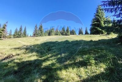 Teren extravilan de 47732 mp, în Panaci - 9