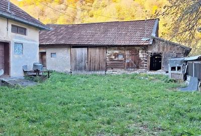 Casă cu 5 camere în Remeți - 3