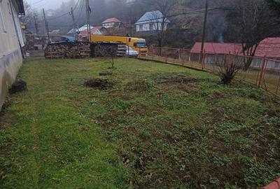 Casă cu 3 camere cu Teren 500 Mp în Central - 2