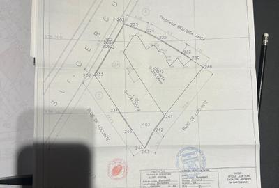 Proprietate exceptionala - Armeneasca - Cercului 2A - 5