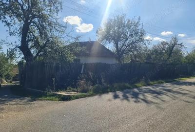 Casa si pamant agricol de vanzare - 7