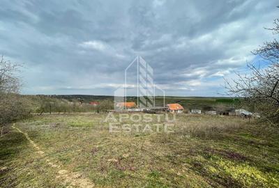 Teren Construcții intravilan de 2896 mp, în Herneacova - 2