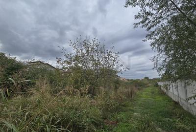 REL4001053 Teren de vanzare Domnesti - 4