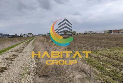 Teren Intravilan cu Utilitati | Rate Direct la Dezvoltator - 5