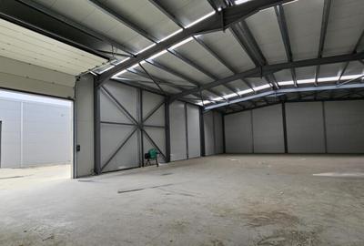 Hala noua | Afumati DN2 | 600mp - 8