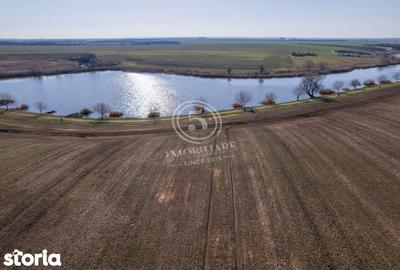 Teren de 17500 mp, în Vasilați - 5