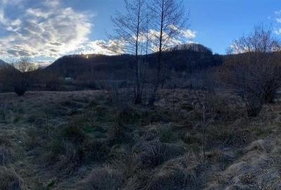 Teren Construcții intravilan de 3422 mp, în Central - 4