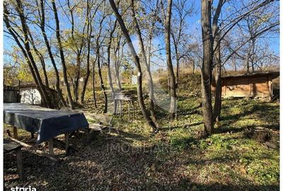 Teren de 3250 mp, în Cozieni - 10