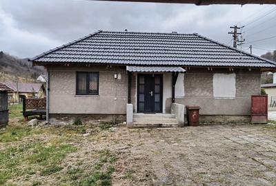 Casă cu 2 camere în Rusca - 2