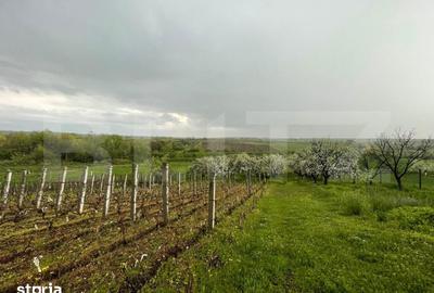 Teren de 4447 mp, în Pielești - 3