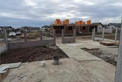 Pantelimon, Ferma animalelor, vila P M,2025 - 1