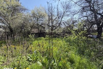 Casă cu 2 camere în Lunca - 7