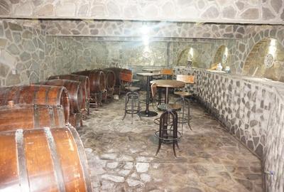 Casă cu 15 camere cu Canalizare în Plaiu Câmpinei - 11