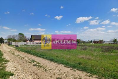 Loc de casa 520 mp, in Sabareni, langa Bucure?ti - 6