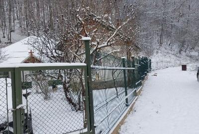 Casa, teren si padure de vanzare-40.000 mp, direct proprietar in Apuseni. - 7