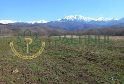 Teren de 1737 mp, în Chirpăr - 2