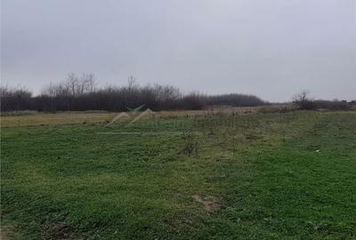 Teren de 1900 mp, în Sânmartin - 4