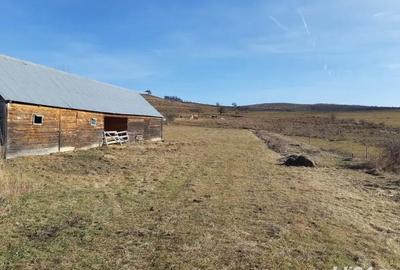 Teren de 8400 mp, în Vălișoara - 3