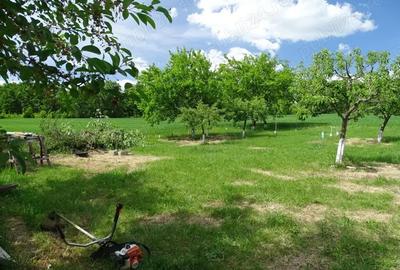 Casă cu 3 camere cu Teren 13000 Mp în Stănița - 2