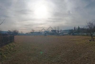 Teren de 3500 mp, în Păun - 6