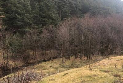 Case de vacanta zona Rasinari - 4