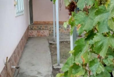 Casă cu 4 camere în Cudalbi - 3