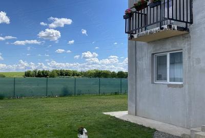 Casă cu Teren 350 Mp în Dudeștii Noi - 3