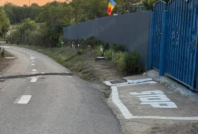 Teren de 1800 mp, în Piteasca - 8