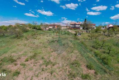 Spațiu comercial, în Spitalul Județean - 7