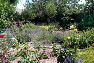 Casă cu 4 camere cu Teren 1000 Mp în Vadu - 1