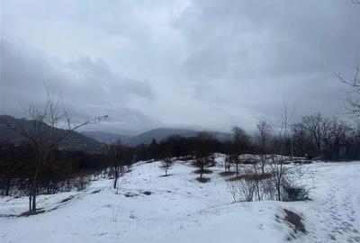 Teren intravilan de 5229 mp, în Șotrile - 3