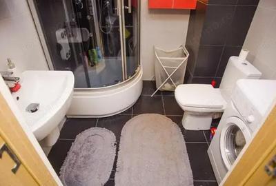 Apartament cu 2 camere decomandat în Dristor - 4