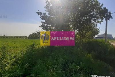 Teren de 5000 mp, în Copăceni - 6