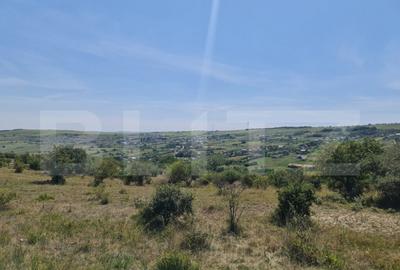 Teren extravilan 1,5 h pentru investitie - 5