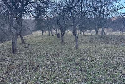 Teren de vanzare intravilan Șimon Bran - 3