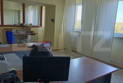 Spațiu comercial, de 5,800 mp, în Lipănești - 6