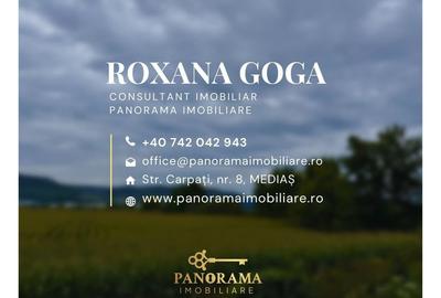 Teren intravilan de vânzare – zonă cu potențial ridicat de dezvoltare. - 5