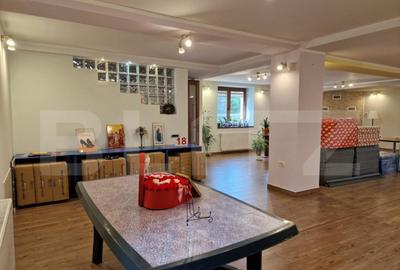 Casa deosebita individuala cu spatiu comercial ,se vand imp - 2