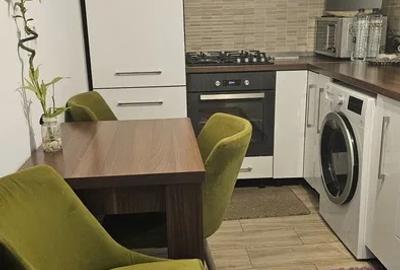 Apartament cu 2 camere decomandat, mobilat în Viilor - 6