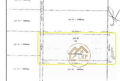 Pipera-Oxford-Padurea Baneasa, intravilan 3700mp Pipera-Oxford-Padurea Baneasa, intravilan 3700mp - 6