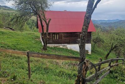 Casă cu 4 camere în Prelucă - 5
