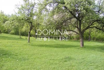 Spațiu comercial, în Runcu - 6