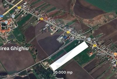 Teren Construcții intravilan de 10036 mp, în Ghighiu