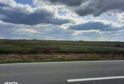 Teren de 13000 mp, în Sânmihaiu Român - 4