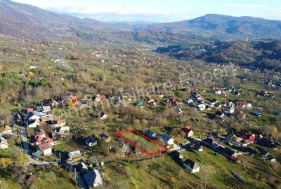 Teren de vanzare in comuna Arefu, jude? Arge?, in apropiere de Transfagara?an. - 14