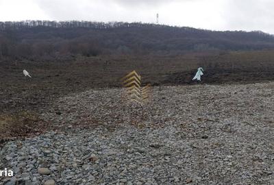 Spațiu comercial, în Central