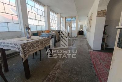 Casa individuala cu teren generos 2158mp, front 12m, livada, Freidorf - 34